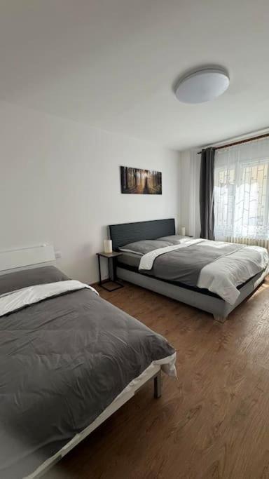 Appartamento Modern In Old Town
